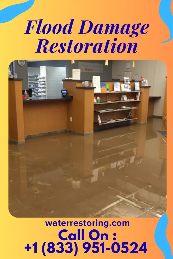 Flood Damage Restoration in Ionia, MO