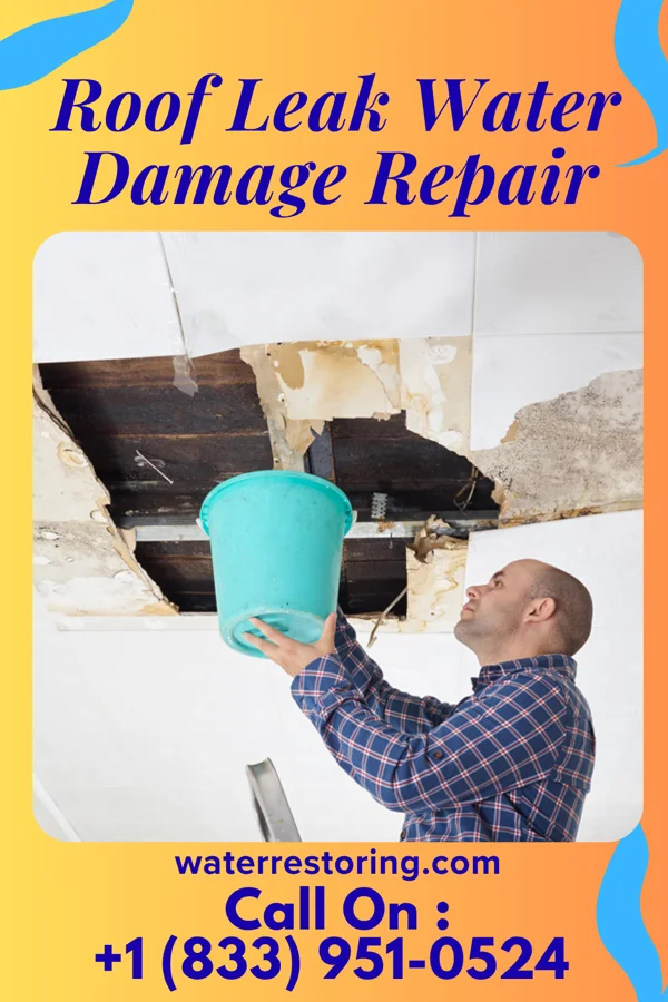 Roof Leak Water Damage Repair in Ionia, MO