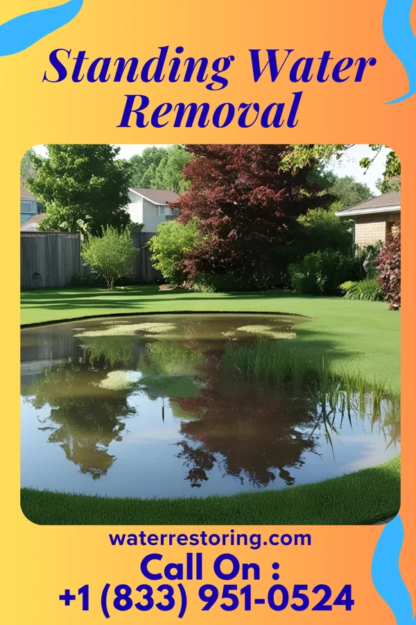 Standing Water Removal in Ionia, MO